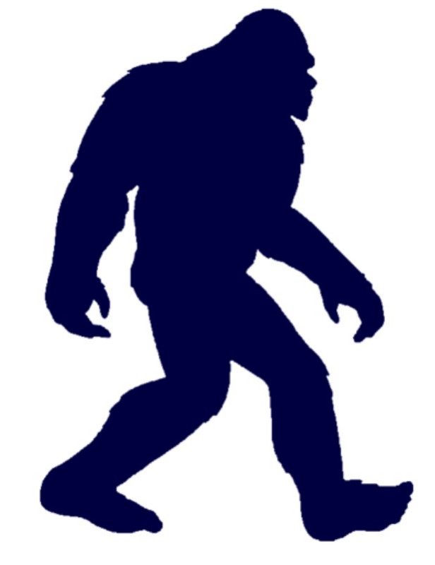 BIGFOOT CONFERENCE 2024 Rabun County Chamber of Commerce