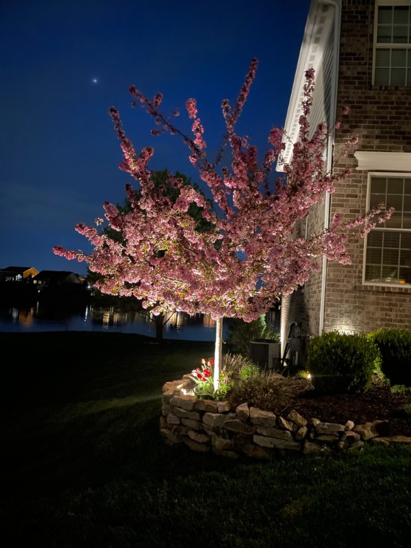 376196785_152853281207836_5049886237449969902_n