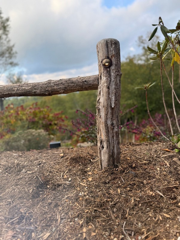 down-net_http20250921-93-t4zrul