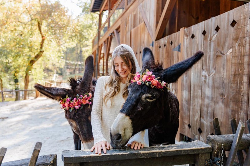 Satolah-creek-farm-4