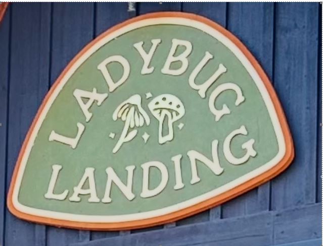ladybug-new-sign