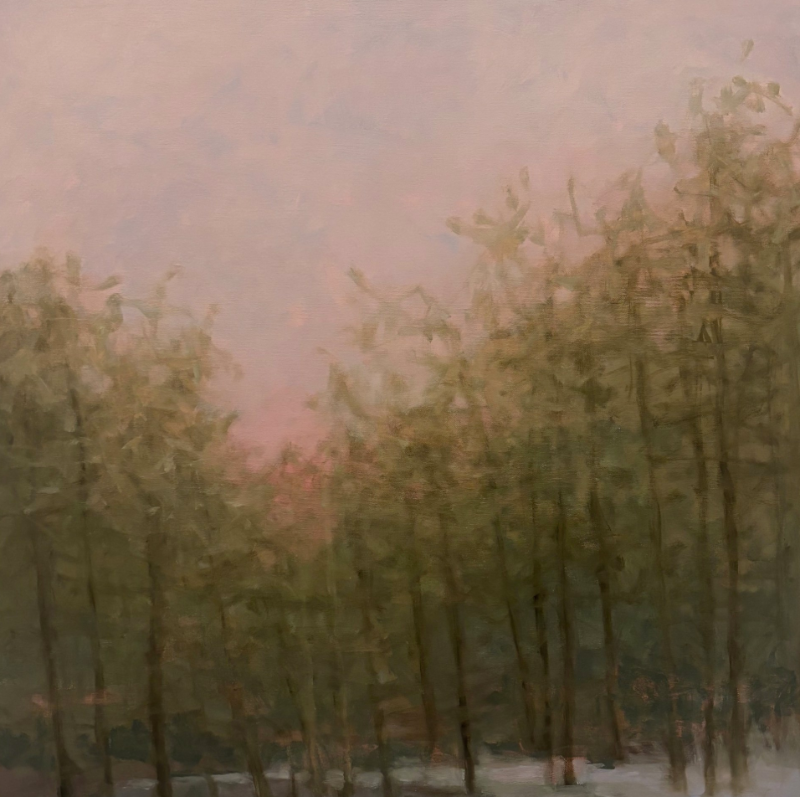misty-woods misty-woods